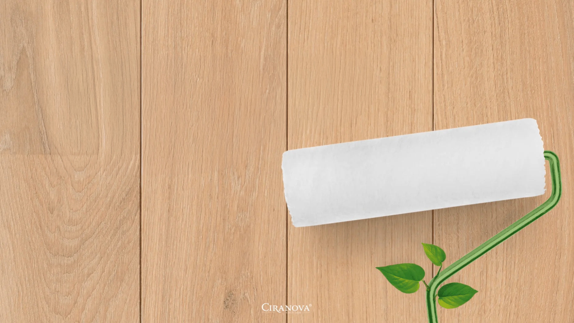 Ciranova Sustainability presentation