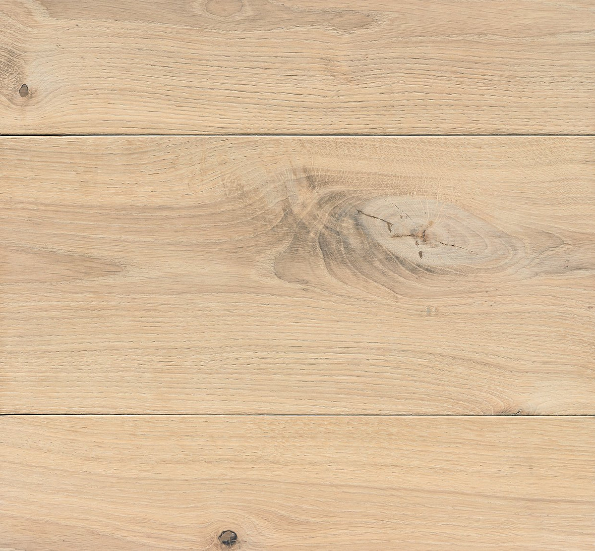 REACTIVE STAIN - CiranovaStore.com