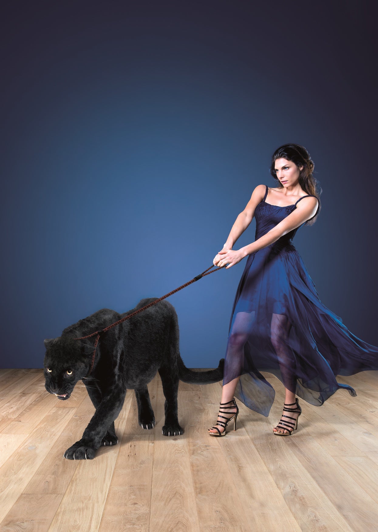 Wooden Floor & Furniture Varnishes - CiranovaStore.com